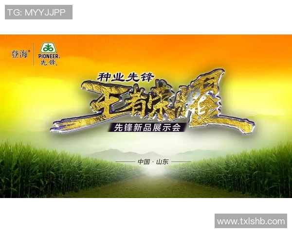 李敏畅谈王者荣耀成长之路与未来发展展望