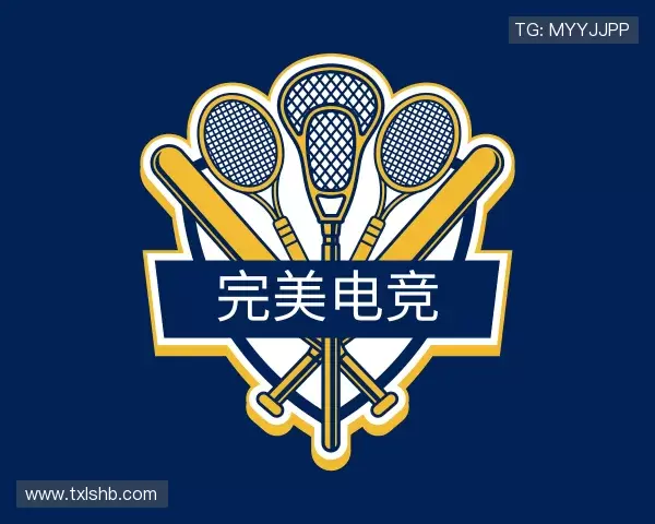 认识完美电竞